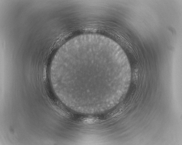 X0000115530504200912181530