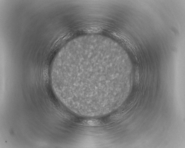 X0000115530506200912181530