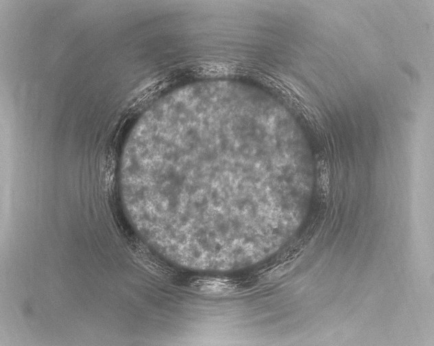 X0000115530507200912181530