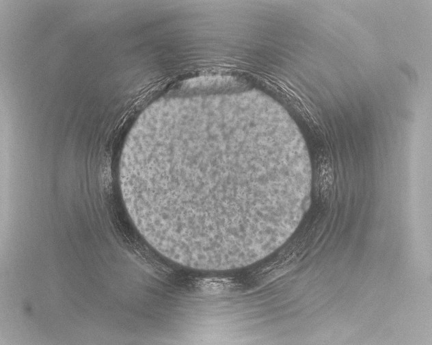 X0000115530508200912181530