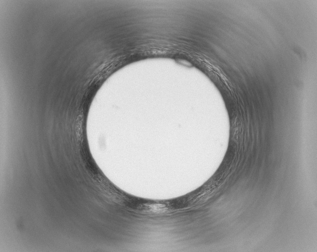 X0000115530509200912181530