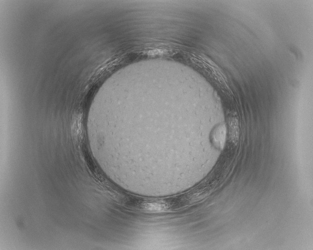 X0000115530510200912181530