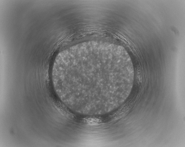 X0000115530512200912181530