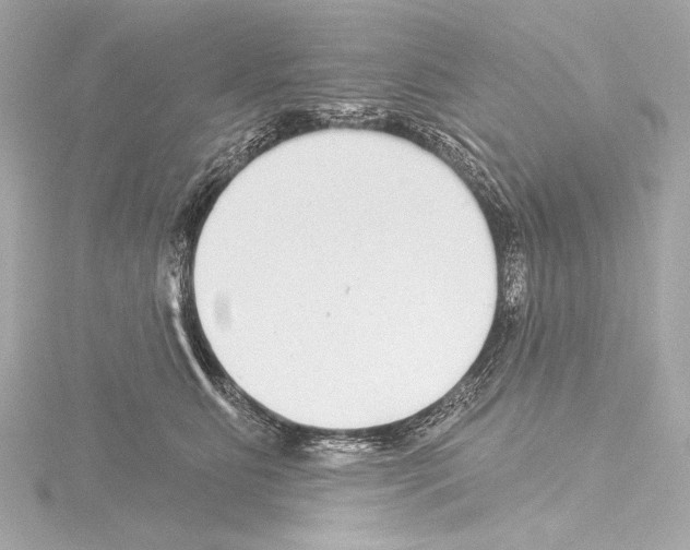 X0000115530515200912181530