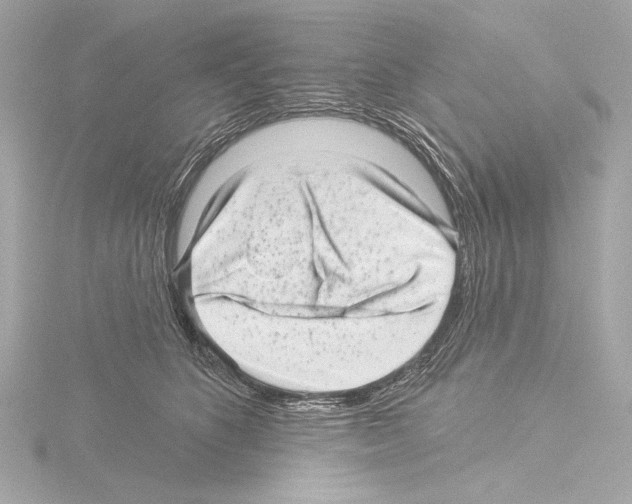 X0000115530516200912181529