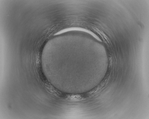 X0000115530517200912181529