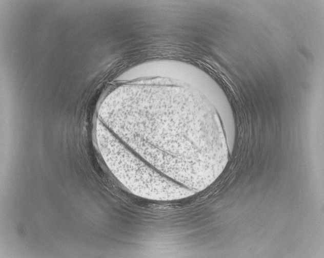 X0000115530520200912181529