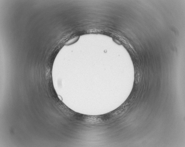 X0000115530521200912181529