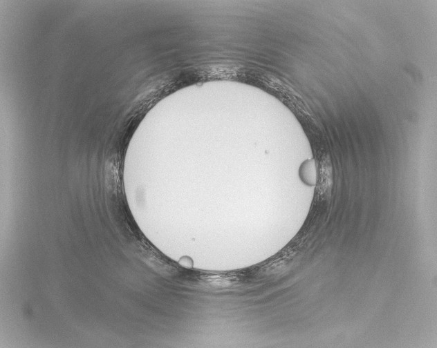 X0000115530522200912181529