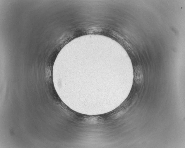 X0000115530523200912181529