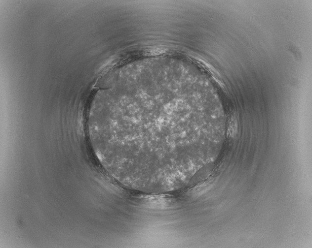 X0000115530524200912181529