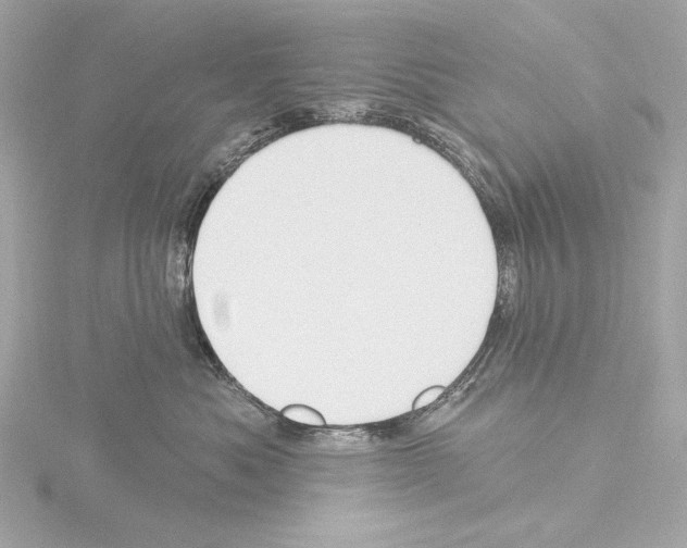 X0000115530525200912181529