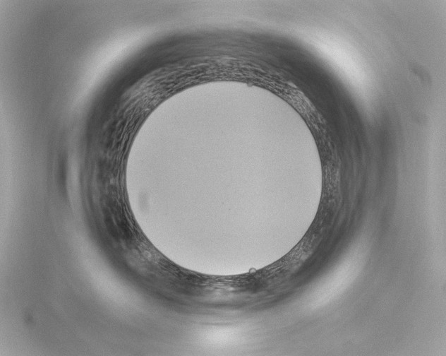 X0000115530526200912181529