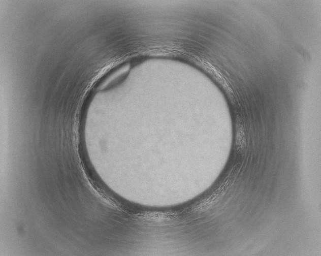 X0000115530530200912181529