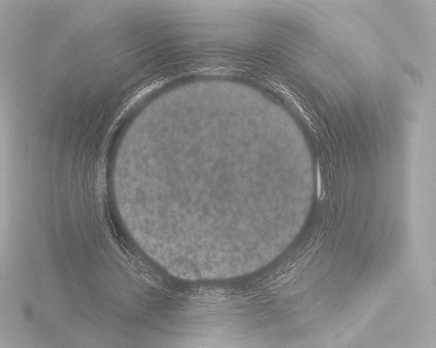 X0000115530531200912181529