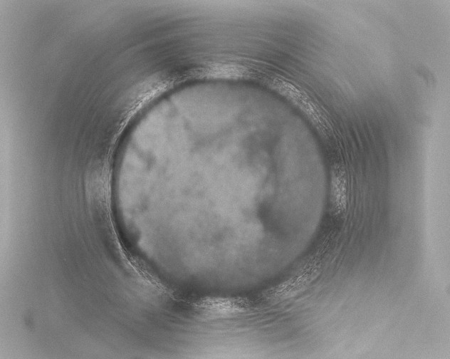 X0000115530534200912181529