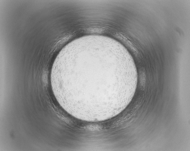 X0000115530537200912181529