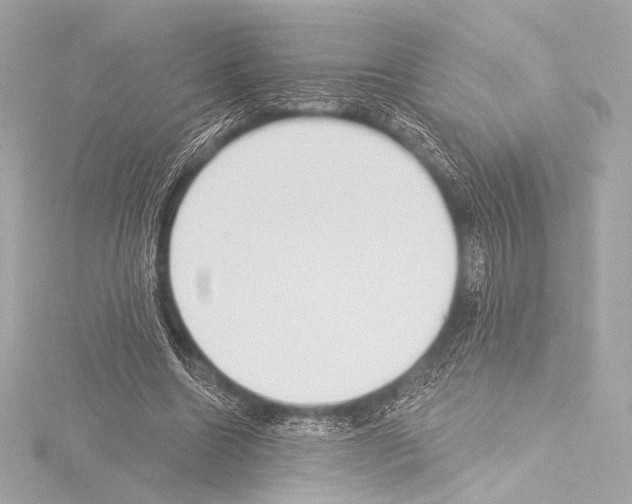 X0000115530538200912181529