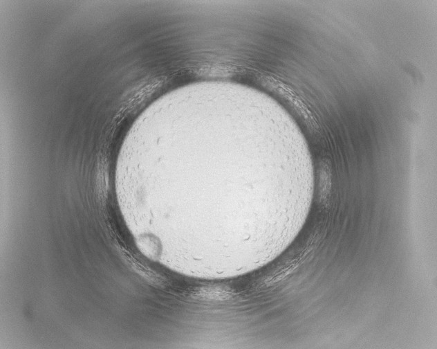 X0000115530541200912181529