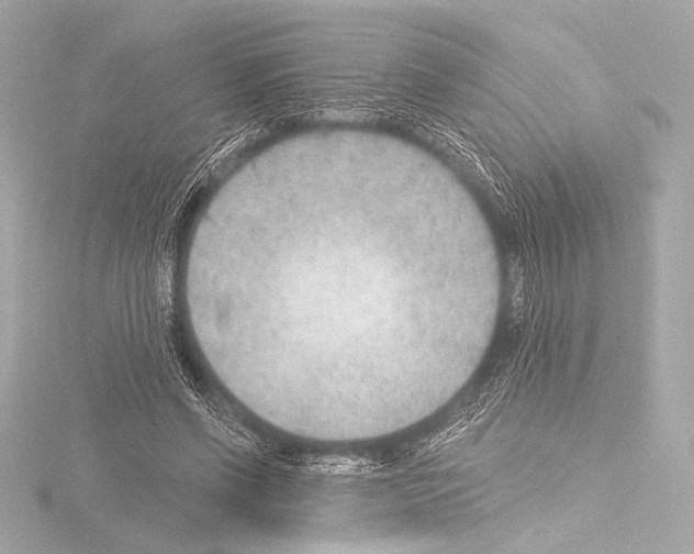 X0000115530542200912181529