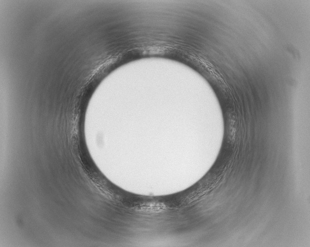 X0000115530543200912181529