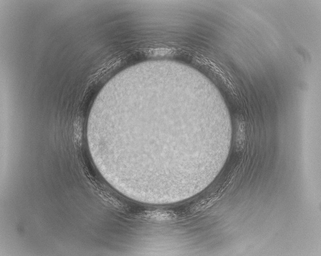 X0000115530545200912181529