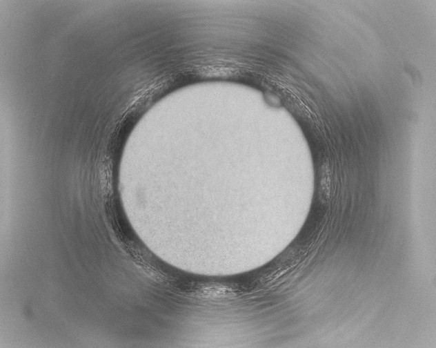 X0000115530547200912181529