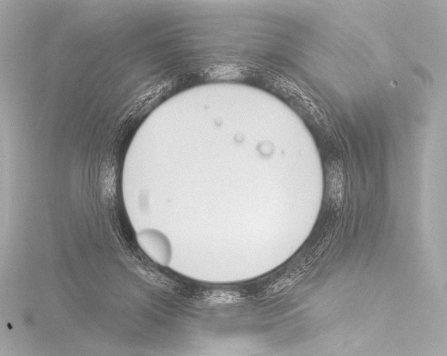 X0000115530549200912181529