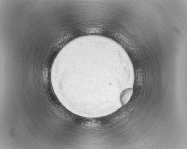 X0000115530550200912181529