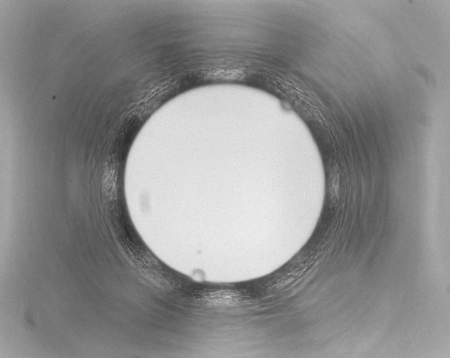 X0000115530551200912181529