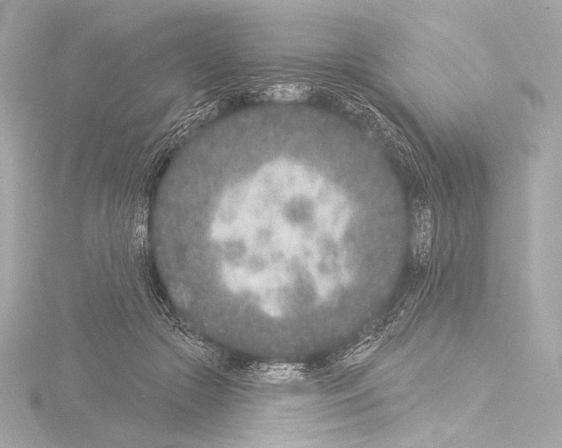 X0000115530553200912181529