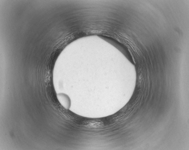 X0000115530555200912181529