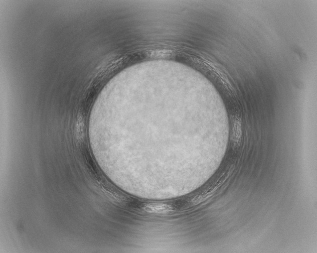 X0000115530557200912181529