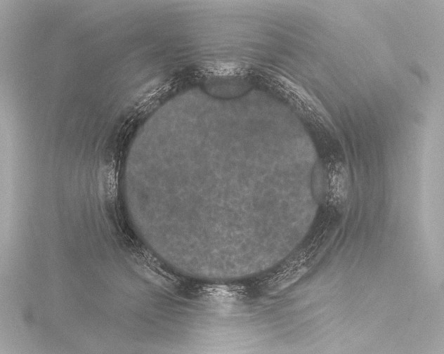 X0000115530558200912181529