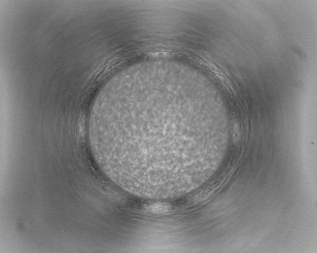 X0000115530561200912181529