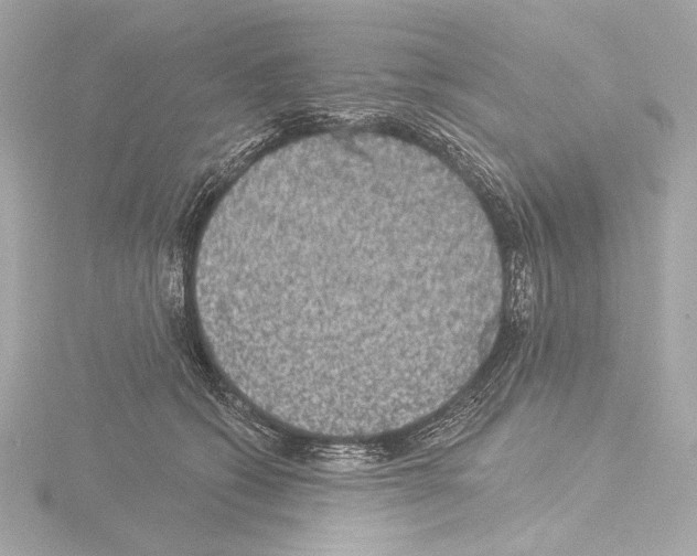 X0000115530562200912181529