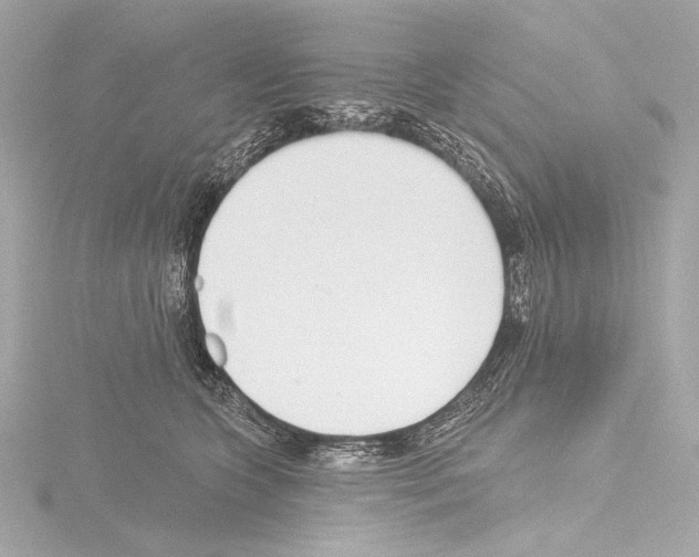 X0000115530563200912181529