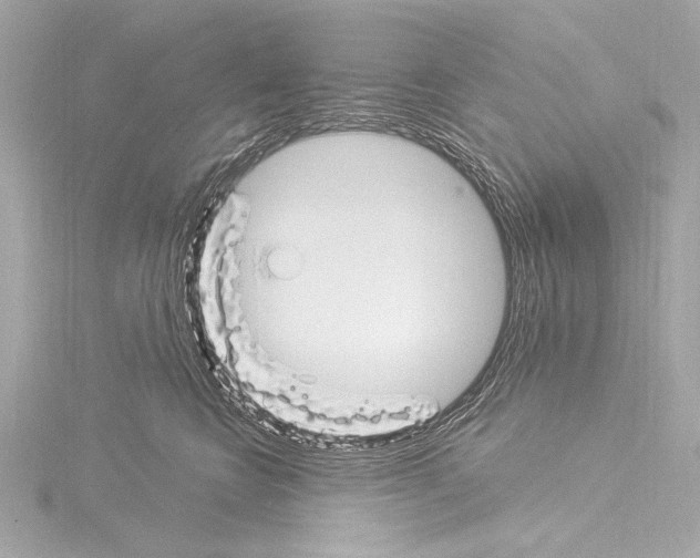 X0000115530566200912181529