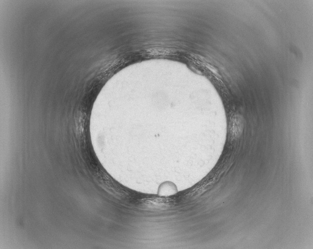 X0000115530567200912181529