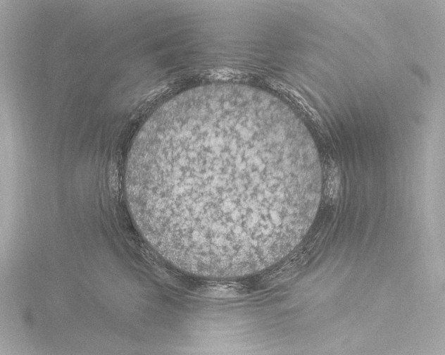 X0000115530569200912181529