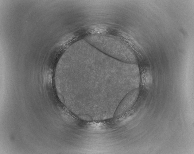 X0000115530570200912181529