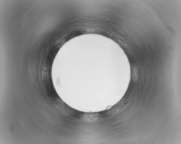 X0000115530571200912181529