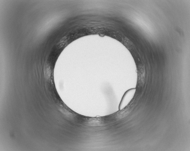 X0000115530574200912181529