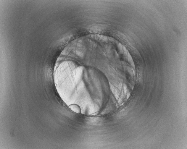 X0000115530575200912181529