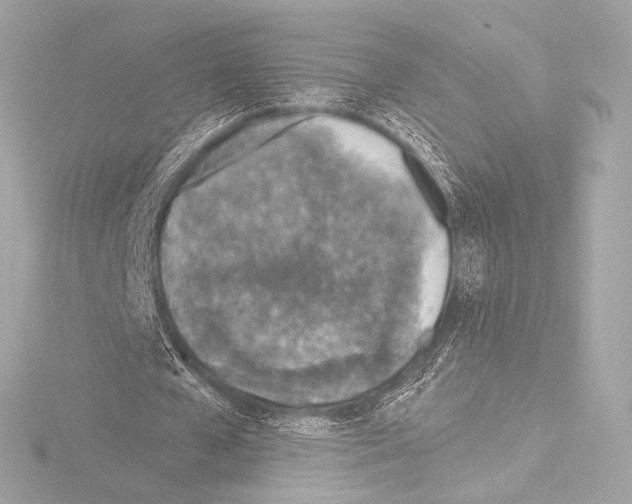 X0000115530577200912181529