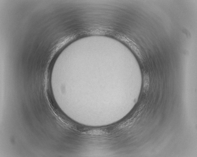 X0000115530578200912181529