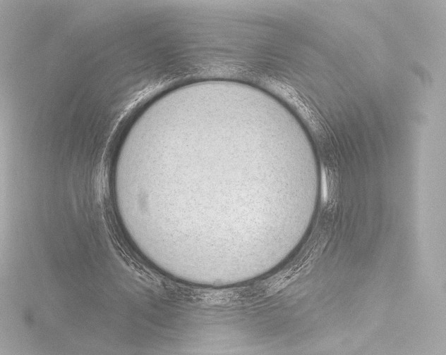 X0000115530579200912181529