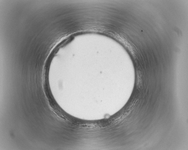 X0000115530580200912181529