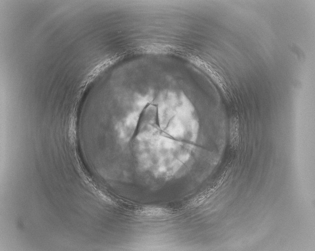 X0000115530581200912181529