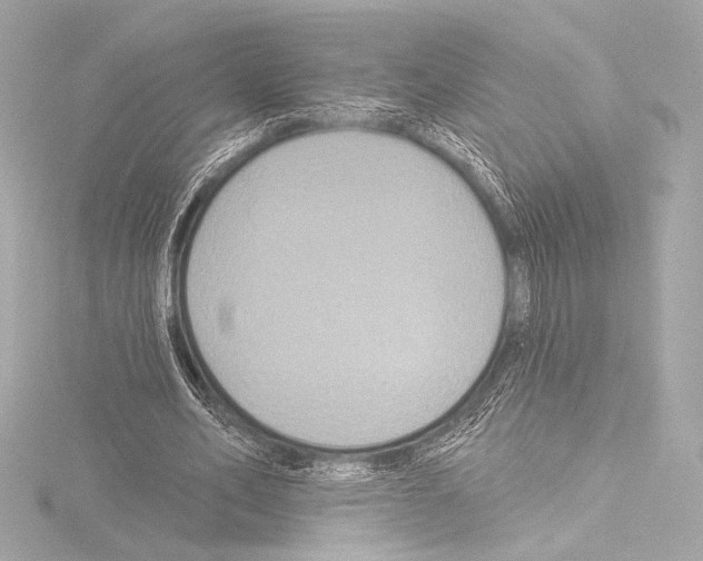 X0000115530582200912181529